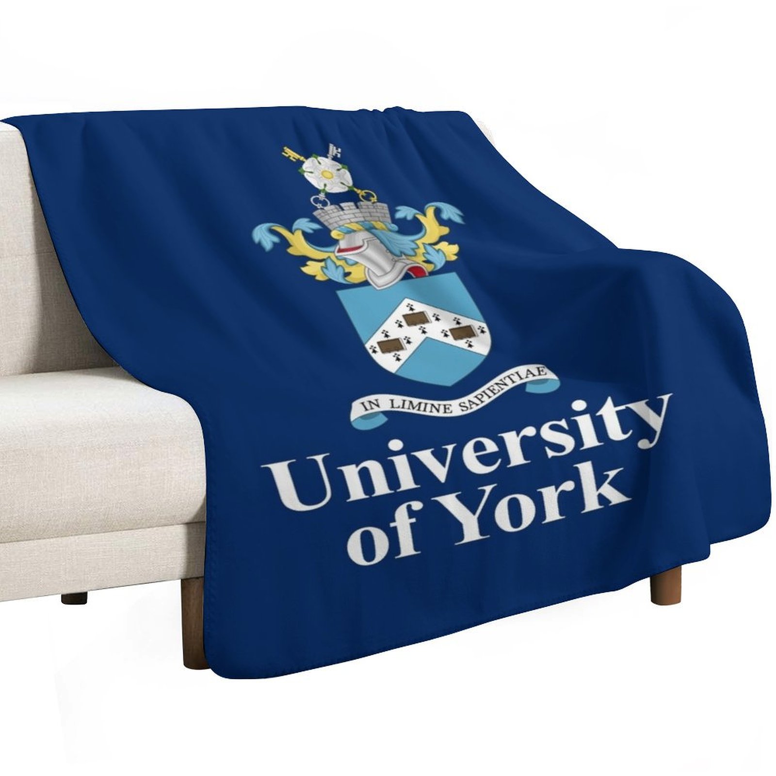 Cobertor da Universidade de Yo - 3D Printing York avaliação e preço